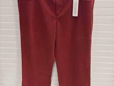 Pants Other By Soft Surroundings In Red, Size: 16 Sale