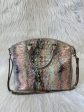 Handbag Designer By Brahmin, Size: Large Hot on Sale